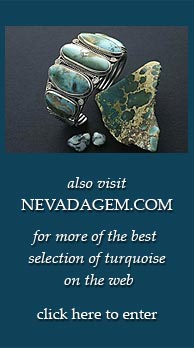 click here to preview nevadagem.com